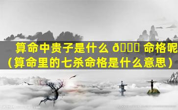 算命中贵子是什么 🐋 命格呢（算命里的七杀命格是什么意思）